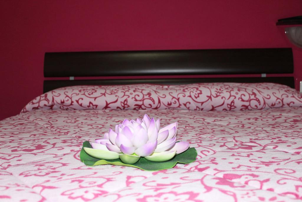 Aracoeli Bed & Breakfast Rome Exterior photo